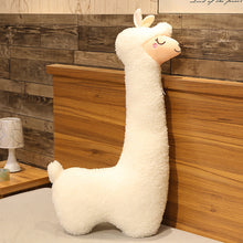 8952662d02dab06a0ded9866795cdcba