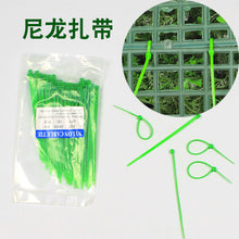 2b6ff8b5999f550ade1bba7dd25dd4fb