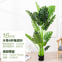 b689a57ee072bed5742ba790156f6300