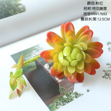 8ea28dea240fee93b58ae65469f862a2
