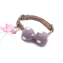 bfaed3bd74d712c545080668200ee34a