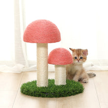 0a898e906629d858017a101b6be25ed6