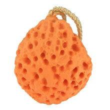 86c56e53a5e42446844facc47897192f