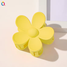 2e8075496830644d66097ef71203ba3d