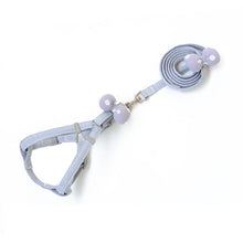 c8da33c98a0c2c98da11144d637616cf