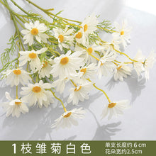 79bef8d21a7479a56172bd8cde38cbd1