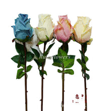 20cbf0f11b8fc7d3022038ac0ce29391