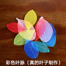 c76ac8d30983422f10f9c42a24d53691