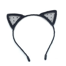 d1fd6e0811ad308a055be091934de308