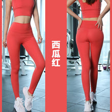 c31b1da6597486cf903489dcb0b6ed94