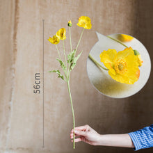 8a0615e7af75caf64a70e7d5e121707b