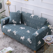 8b53b28e91842194ca7f328cd18181a9