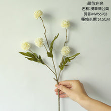 720e05e4d69c81eee1a6eaa8e01c4b97