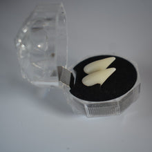 5ca34917a159ff4d24b9956e89a12f69