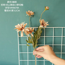 d261d6842acce4daa2f97b5b36f598b6