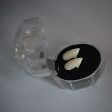 4e71abc7a79bd4a5f55cf8756052e011