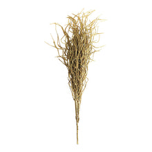 e5d09d3dfa97a833306ce52d3e477c4c