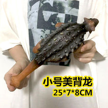 04c4079e878288d72e04c2ae80d9e62c