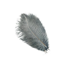 a1692d17335fd0d078dad95746cb7381