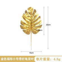 6c047efec47f4008ef3e005d050648a6