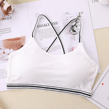 3f821bc9aed7a54a4dd482990f6db396
