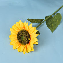 01da0fb2fb561b39d78d97b2cff5d5df