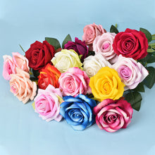 684c303c5928a712e231964ea4ecb56a