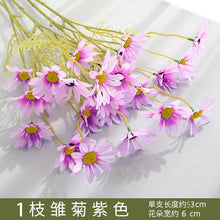 49cc9e0db0222f895b8d11587eb9a9b2