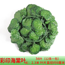 6501e63c798a7a62d890a931f9eb175e