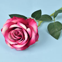 93956a1e284379f646c8c5c5c2dd90b0
