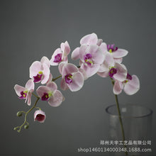 bcb2242e069cf05abe0cff4a862b7442