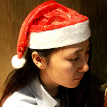 fe0994d4811992e5fb2fdc353624c300