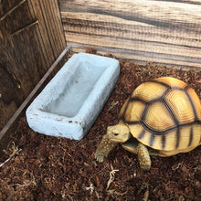 a6c69cbfb98289ba0312f1e25ba3d746