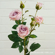 189de6d555032aff65dce7c4c574ed3b