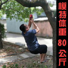b2e95a56bfe40b9a8557c66f21875594