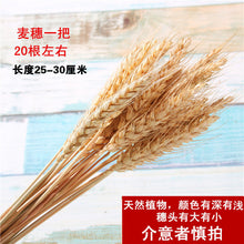468ddde2215d15363f8dc9a03e1dce44