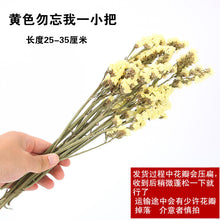 d702c4e1f38086a84e725896d13af126