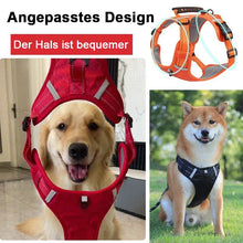 Pull-free dog harness for pets