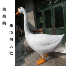 3224a2fe338a91a8f3ed554cd2726c65
