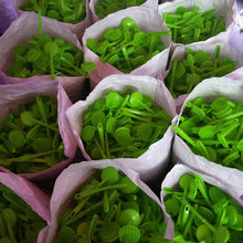 5abff357af22dc7a1288d0b7024ac777