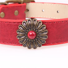 e3f6973edc46db07146c47ab1d9d7f55