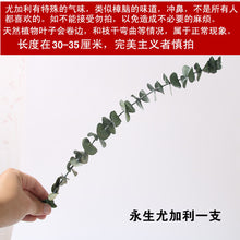 57a6d85cb68790edf1baf2e3335c4062