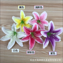 45b97da3e81cdcfd69ccb3e92e443c14