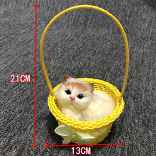 9888bb31dee0d1ed47277005c40818f4