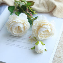 cc46a1cb5e37ffb10d9ef93576cdb28a