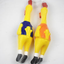 68e49dbcfdf17a834488f0e2360a9dd9