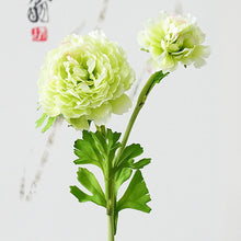 944908a62ce37f9c0b9027ca6a57d197