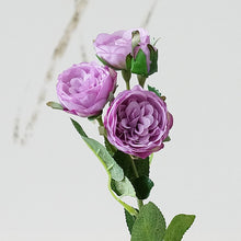 9acc49a8241c1709169fca5ce9375e67