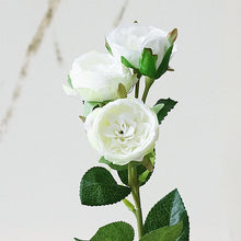 28a0f0f26076e97f304e7f0821fa4f47