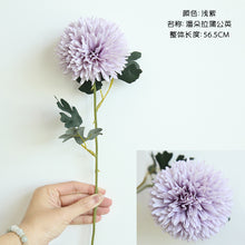 cc700be52b17e5a2d8b7a64720d8a364